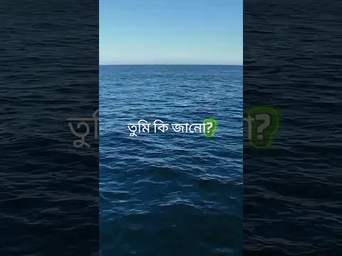 🌊 পৃথিবীর সবচেয়ে গভীর রহস্য—মারিয়ানা ট্রেঞ্চ! 😱