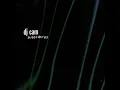 Innervisions - DJ Cam