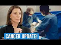 Hilary Farr s Brave Battle with Cancer Current Health Update