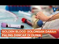 Golden Blood, Golongan Darah Paling Diincar di Dunia