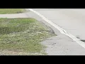 Download Lagu No, sidewalks are not required in your neighborhood if you live near a school