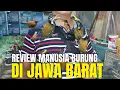 Download Lagu HARGA BURUNG TERBARU DI TAMBUN SELATAN BEKASI JAWA BARAT
