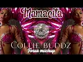Mamacita _ collie buddz [ Forua mashup ]