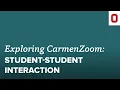 Exploring CarmenZoom Student-Student Interaction