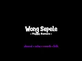 Download Lagu wong sepele - Happy Asmara slowed + lirik ( TREND TIKTOK )