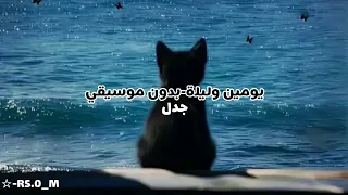 يومين وليلة جدل بدون موسيقى   مع الكلمات دندنها