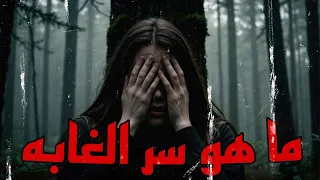 السر الذي أخفته غابة باين هولو قصة أول يوم كحارس منتزه 