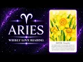 ARIES A guarded individual is opening up to you Tarot Love Reading