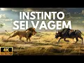Download Lagu SERENGETI - O CORAÇÃO INDOMÁVEL DA SAVANA | Documentário Completo