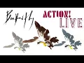 Download Lagu 01 Action : วงบัตเตอร์ฟลาย Live : คอนเสิร์ตลืมโลก