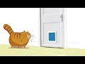 A fat cat in a corset – from BOQ