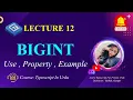 biginit in urdu I what is bigint I what is bigint in typescript govornor sindh it course