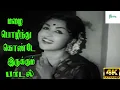 Lagu Mazhai Pozhindhu ||மழை பொழிந்து ||  P. Susheela ||Love H D Song