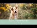Download Lagu Zo krijg jij de scherpste foto's in Photoshop