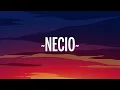 Romeo Santos - Necio (Letra/Lyrics) ft. Santana