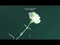 Lane 8 & Grigoré - Pipi Dormir