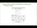 Chapter 13 Modern Understandings of Inheritance