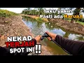 Download Lagu Casting haruan !! NEKAD TERJAH SPOT INI.. aku tau ada haruan. Haruan parit sawit.