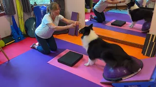 RBS to hip extension on Bosu Rosi