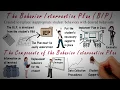 Behavior Intervention Plan BIP Overview