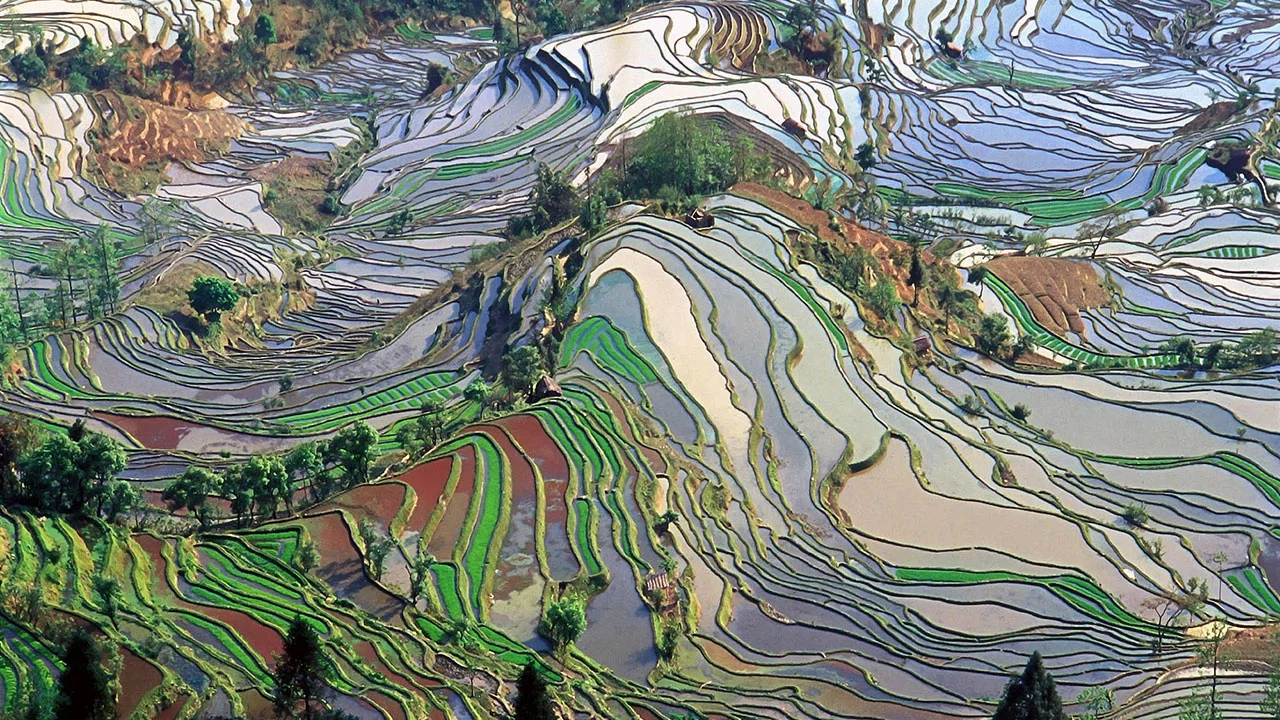 What is Political Ecology? | Culture, Power, and Global Environment