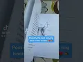 Possibly the best horse anatomy coloring book in the world