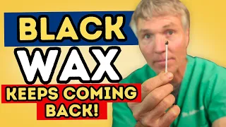 Black Wax and Smelly Dog Ears? It Could Be Yeast
