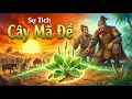 Lagu Sự Tích Cây Mã Đề: Dấu Chân Ngựa Cứu Chủ (Cổ Tích Việt Nam) | Hẻm Cổ Tích