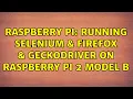 Raspberry Pi Running Selenium Firefox geckodriver on Raspberry Pi 2 Model B