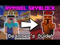 The ULTIMATE Beginner s Guide to Hypixel Skyblock 2025