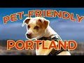 Dog Friendly Food Spots in Portland Part 1 Where to Eat with Your Pup in Buckman