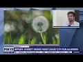 Report Everett worst west coast city for allergies