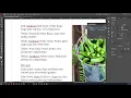 IN CC 2020 CIAB CH 9 Working with Styles Danielle Oser Source