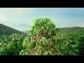 Download Lagu NESCAFÉ 3in1 - Nhãn hiệu cafe bán chạy số 1 thế giới