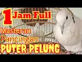 Download Lagu PANCINGAN, MASTERAN PUTER PELUNG ||1JAM FULL MP3||