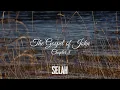 The Gospel of John - Chapter 8 NKJV Bible