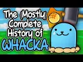 Paper Mario s Most Tragic Character