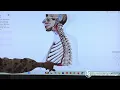 Anatomy Pathology - Digestive System Lecture Lakewood School of Therapeutic Massage