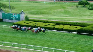 Lexington The Kentucky-est Getaway