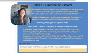 Understanding BitcoinSV Transactions with My Custom Transaction Explorer