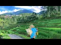 Download Lagu How activities people's rural Village|| Rural area Indonesia