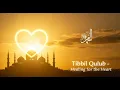 Lagu Tibbil Qulub – Healing for the Heart | Soft Islamic Nasheed