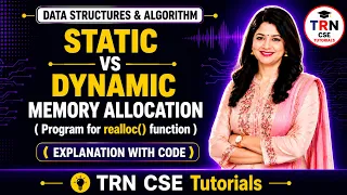 realloc function in C DSA