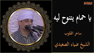 يا حمام بتنوح ليه فكرتنى باللي غايب    أجمل أنشودة هتاخد قلبك مع ساحر القلوب الشيخ ضياء الصعيدى دندنها
