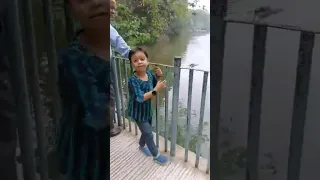                     دندنها