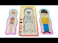 Download Lagu Human Body Parts Puzzle For Kids | Learn Every Layer Inside Human Body | Internal Organs For Toddler