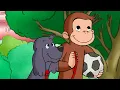 Lagu Die große Hunde-Flucht! | Coco der Neugierige | Cartoons für Kinder