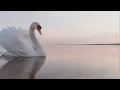 [NO ADS] Sunset Melody: Relaxing Piano Music & Ocean Sounds for Sleeping