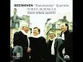 String Quartet No. 7 In F Major, Op. 59 No. 1: II. Allegretto vivace e sempre scherzando