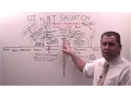 O T vs N T Salvation